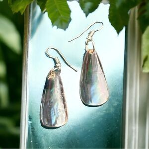 Gorgeous abalone seashell drop earrings